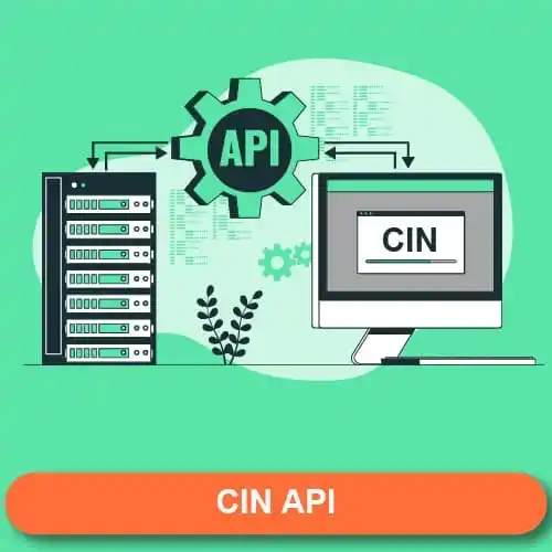 CIN-API