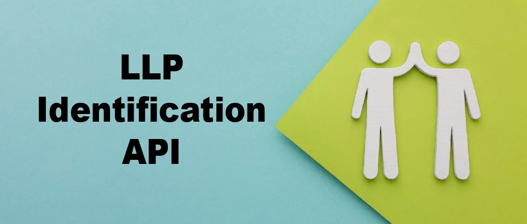 Company & LLP Identification API